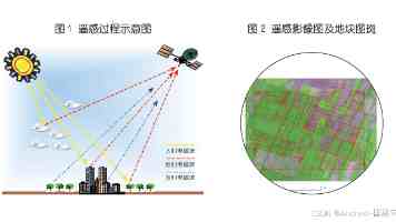 Claude Code产品负责人：AI时代最稀缺的人什么样？