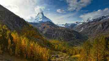 北京高校服务新时代首都发展特别报道|北京印刷学院:以“书”载道 赋能全民阅读和“书香京城”建设